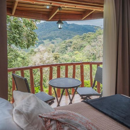 Cedrela Eco-Lodge & Restaurante Copey エクステリア 写真