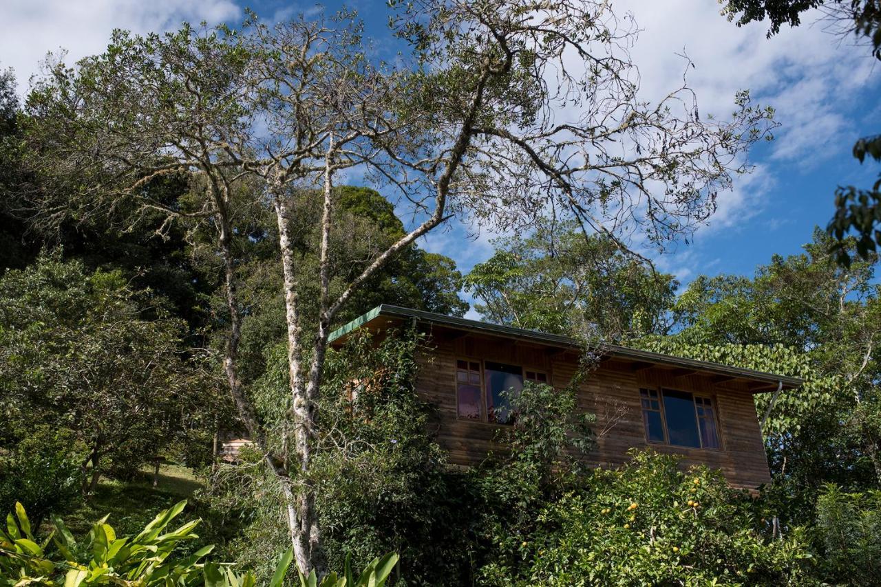 Cedrela Eco-Lodge & Restaurante Copey エクステリア 写真
