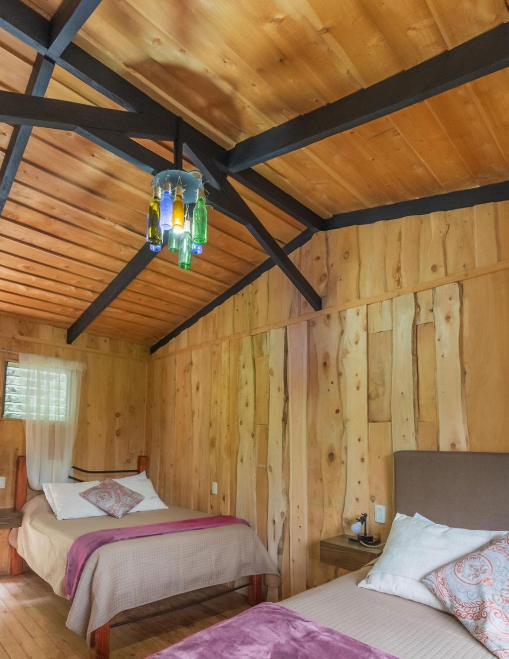Cedrela Eco-Lodge & Restaurante Copey エクステリア 写真