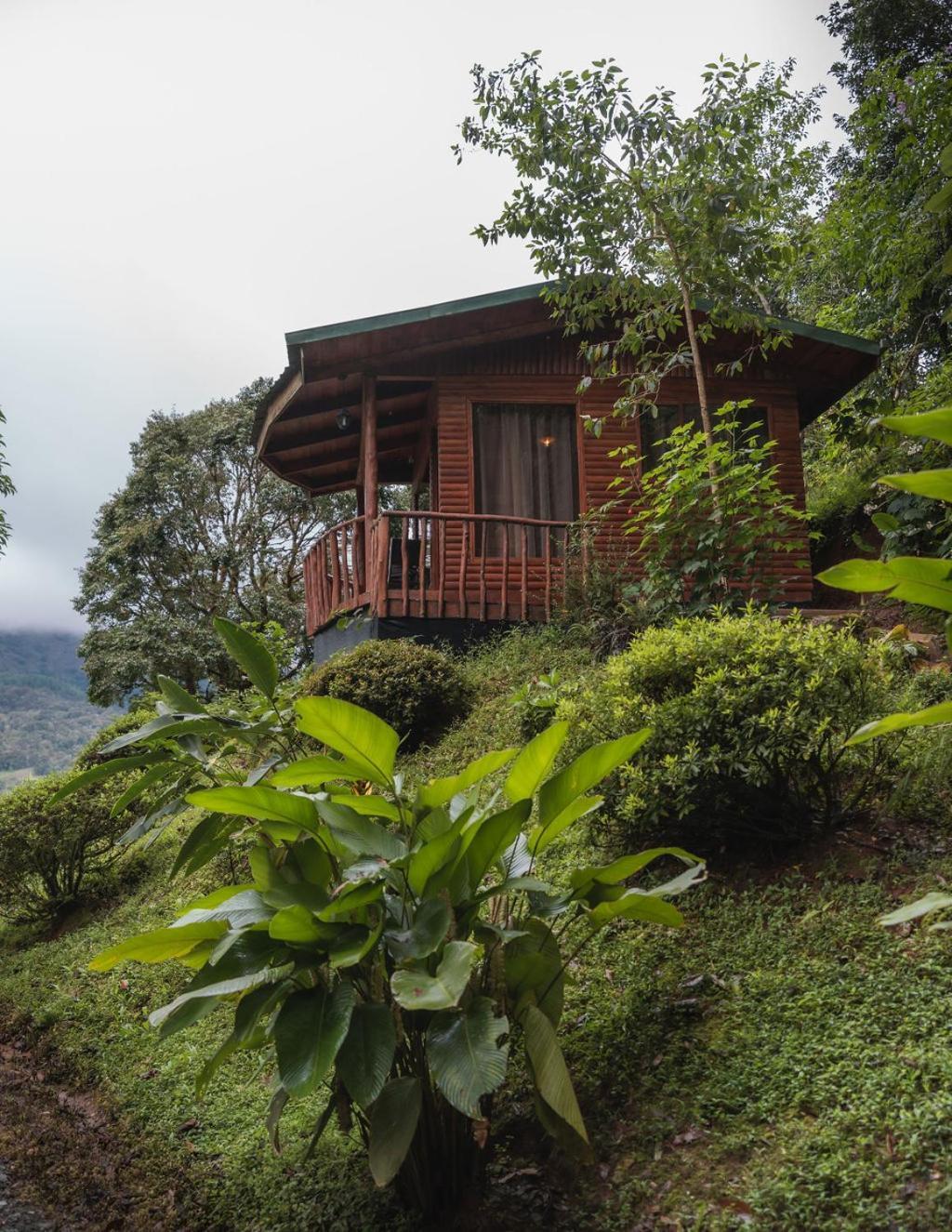 Cedrela Eco-Lodge & Restaurante Copey エクステリア 写真