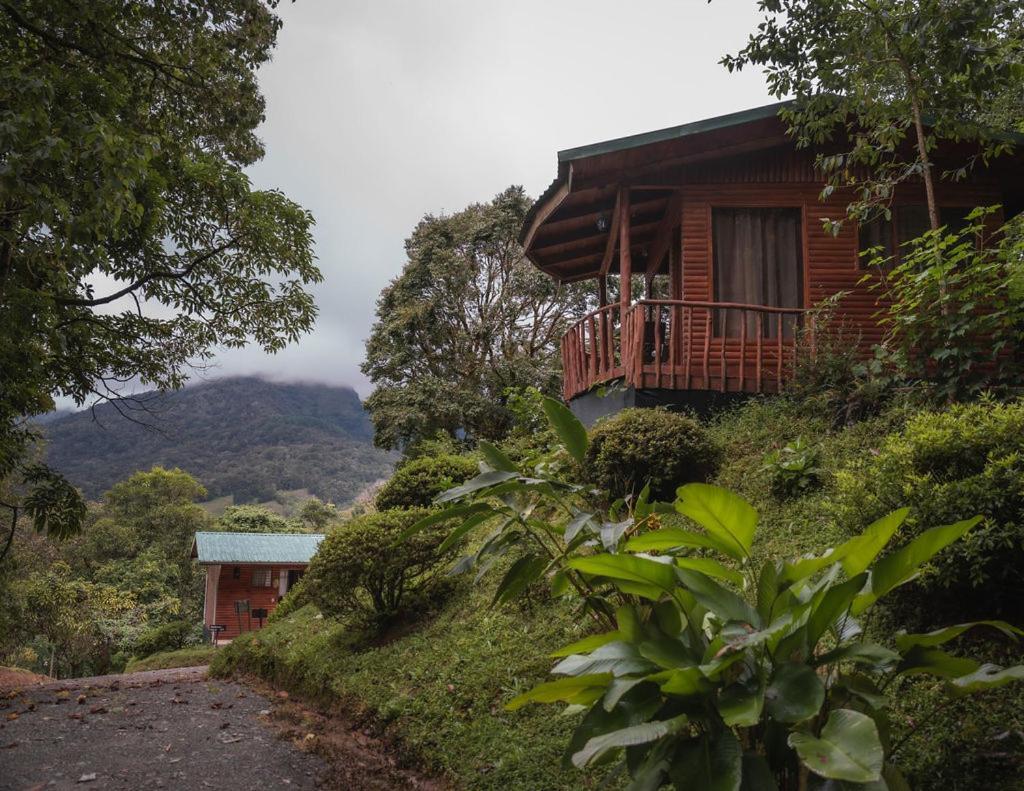 Cedrela Eco-Lodge & Restaurante Copey エクステリア 写真