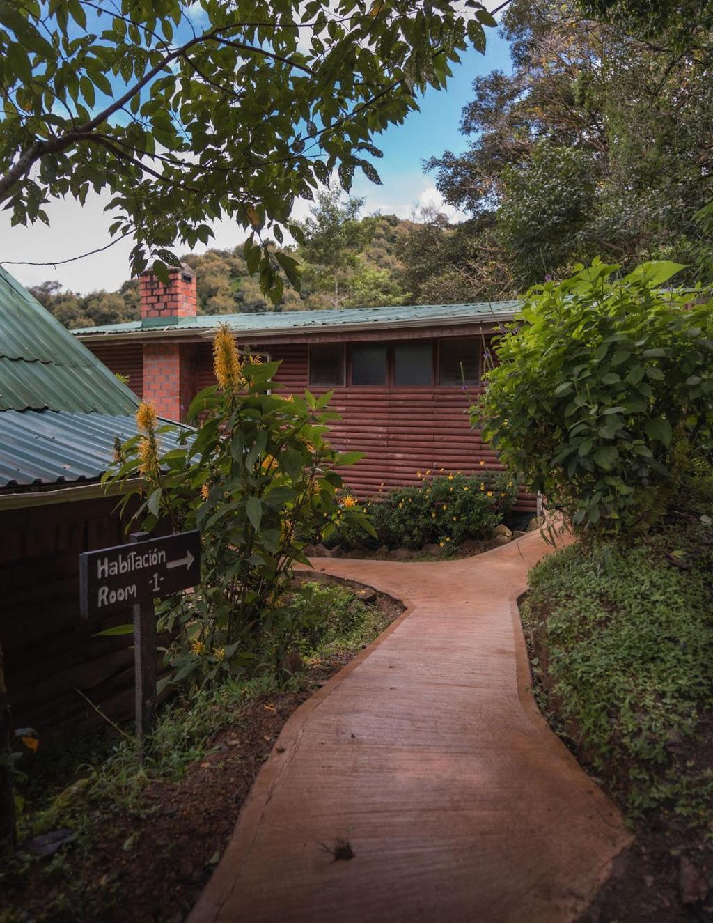 Cedrela Eco-Lodge & Restaurante Copey エクステリア 写真