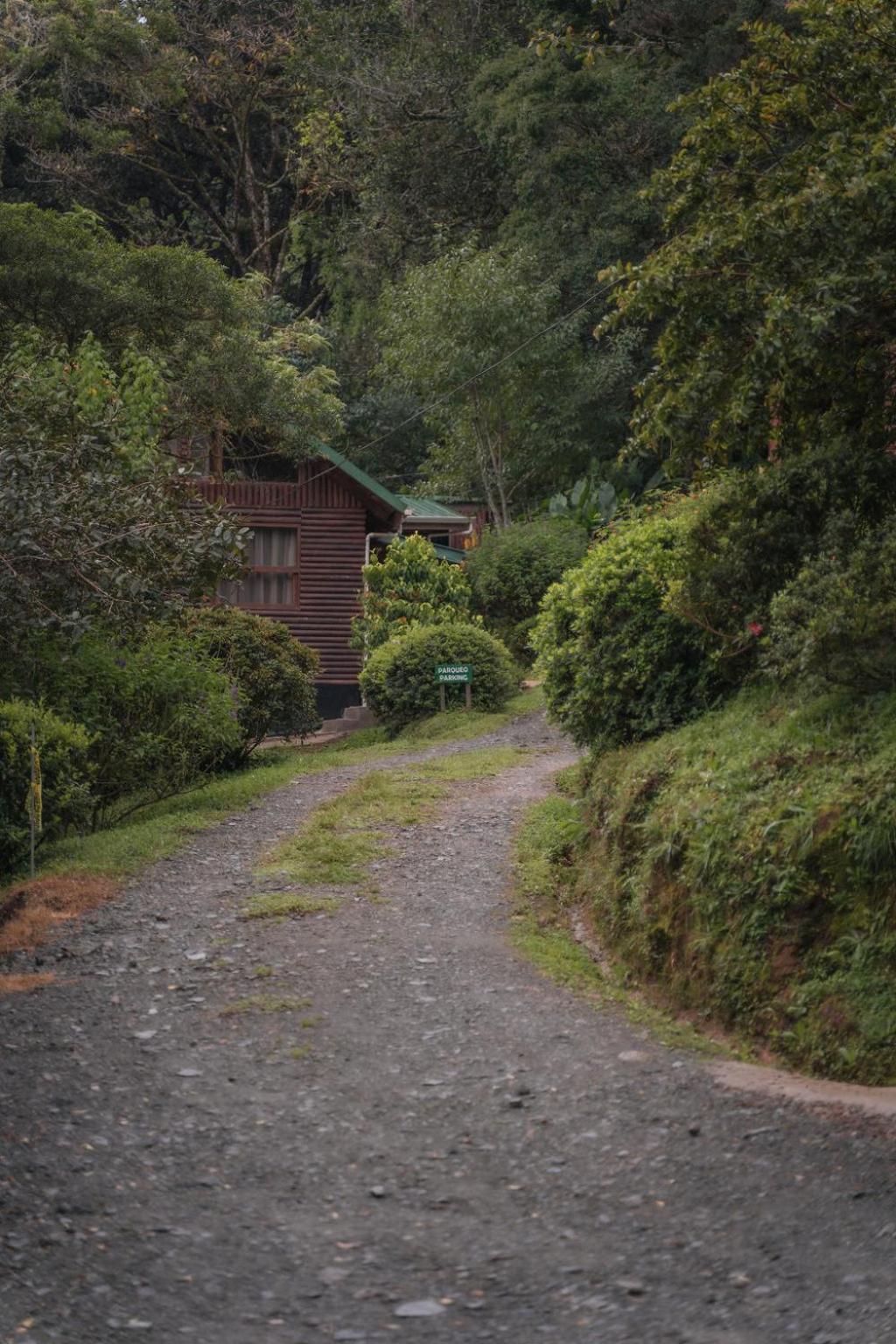 Cedrela Eco-Lodge & Restaurante Copey エクステリア 写真