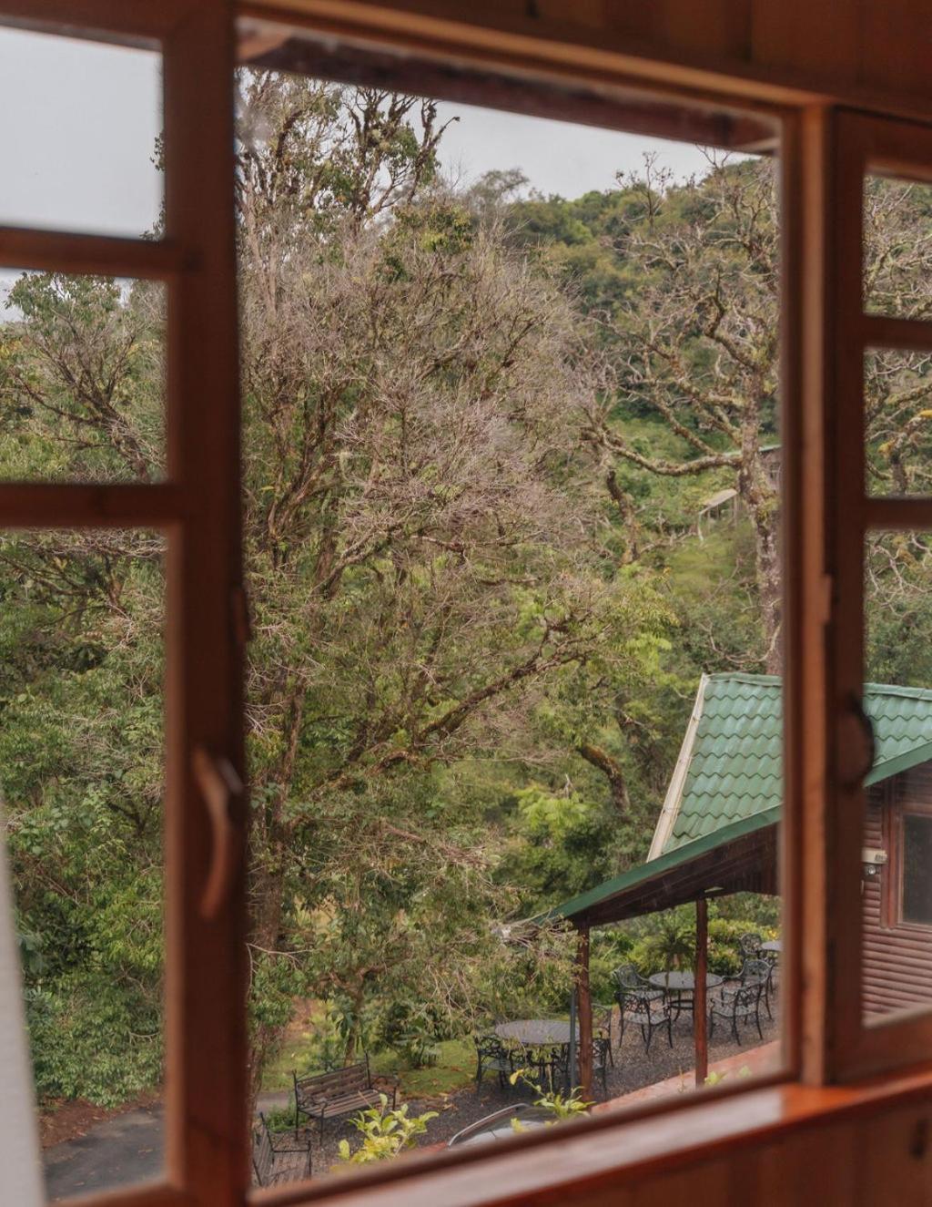 Cedrela Eco-Lodge & Restaurante Copey エクステリア 写真