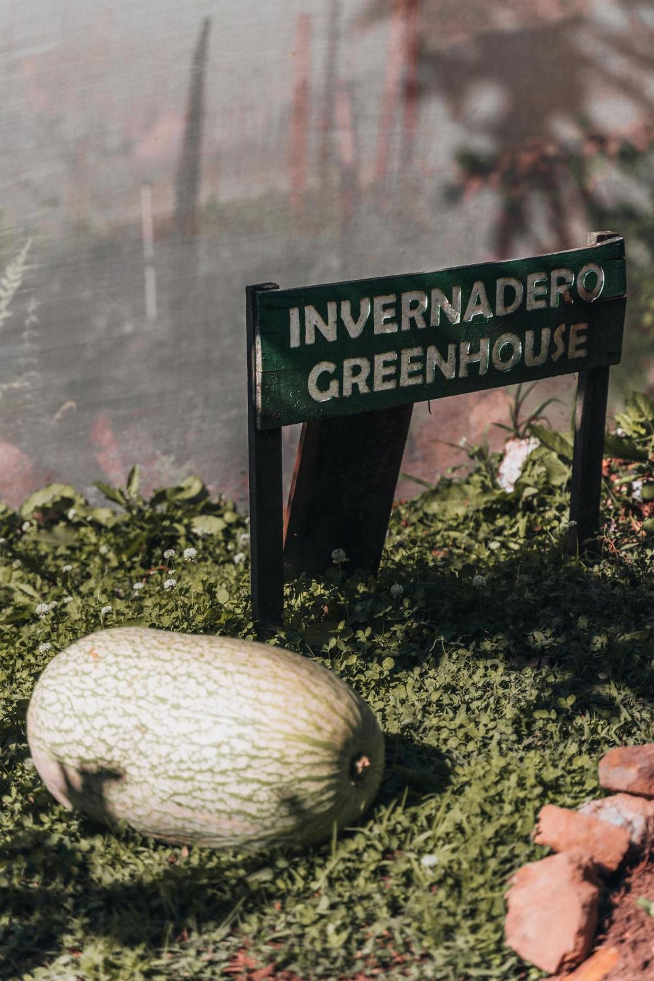Cedrela Eco-Lodge & Restaurante Copey エクステリア 写真