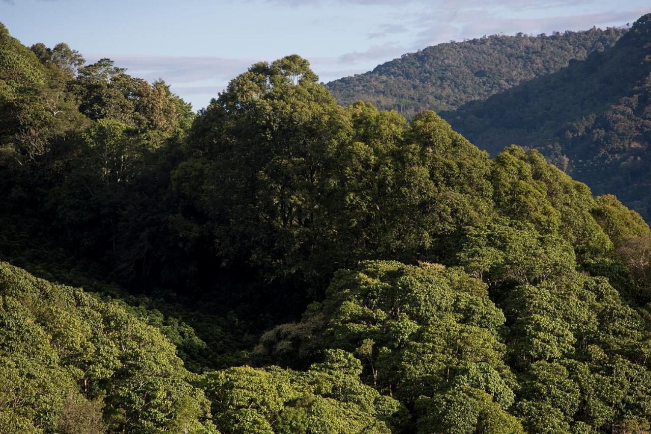 Cedrela Eco-Lodge & Restaurante Copey エクステリア 写真